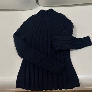 Banana Republic Navy Ribbed Sweater